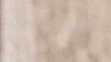 Superalimentos que mejoran tu calidad de vida | Crédito Pexels