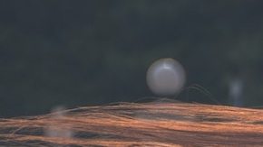 Cómo alisar tu pelo sin dañarlo