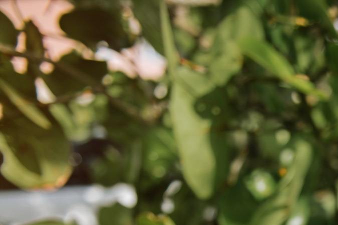 Cómo evitar granitos después de broncearte