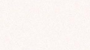 La piel es el órgano más grande del cuerpo | Crédito Piqsels