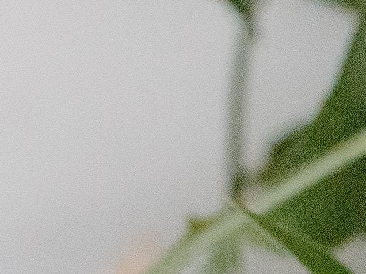 exfoliantes para pieles sensibles