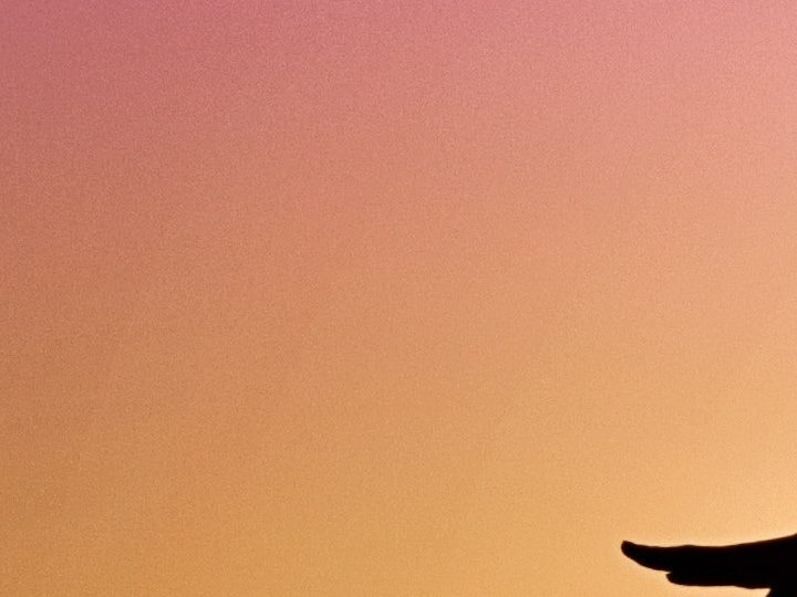 Adquiere vitamina D por el sol | Crédito Pexels