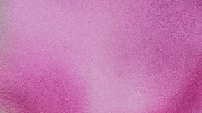 Belleza eco-amigable por medio de productos sustentables y sostenibles | Crédito Pexels