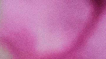 Belleza eco-amigable por medio de productos sustentables y sostenibles | Crédito Pexels