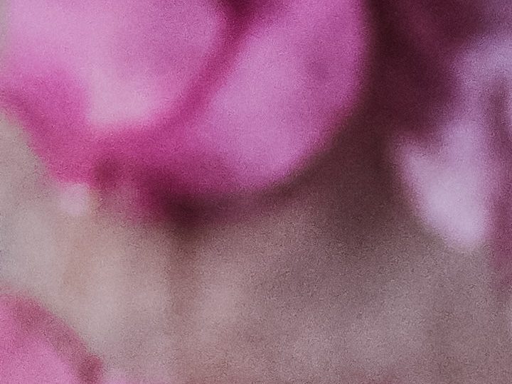 Belleza eco-amigable por medio de productos sustentables y sostenibles | Crédito Pexels