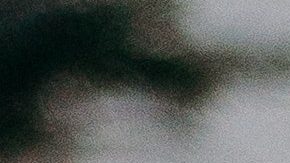 Brochas nuevas | Crédito Pexels