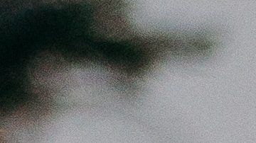 Brochas nuevas | Crédito Pexels