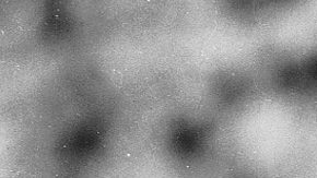 Conoce los mejores secretos de belleza de Audrey Hepburn | Crédito  Getty Images.