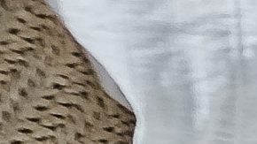 Cuida de tus pies con juanetes con calzado amplio | Crédito Pexels