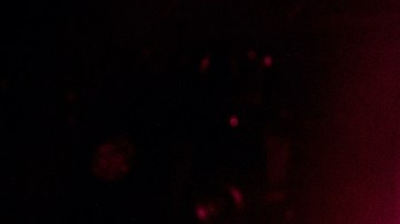 Lizzo probó los famosos leggings de Amazon que levantan las pompas y esta fue su reacción