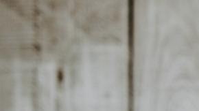 aceites para el cabello