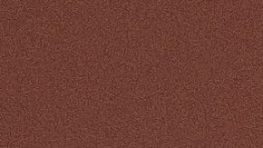 Aclarado natural es posible con productos de la despensa como canela, manzanilla o limón. | Crédito Pexels