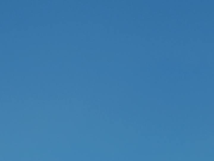 biker shorts baratos amazon