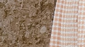 Esta temporada de calor convierte a la fald a midi en tu mejor aliada a la hora de vestir con mucha onda | Crédito Pexels