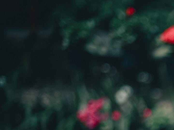 que ingredientes evitar en el embarazo