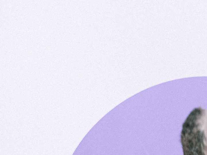 marcas de maquillaje en estados unidos cruelty free