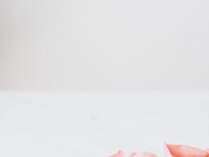 marcas veganas en estados unidos creadas por latinas