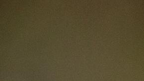 Pelo mojado una mala idea a la hora de salir de prisa de casa | Crédito Pexels