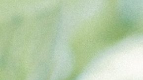 Perfumes de primavera que son los nuevos íconos modernos de la belleza | Crédito Pexels