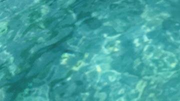 productos de belleza enriquecidos con sandia