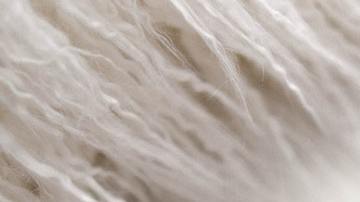 productos para uñas en target