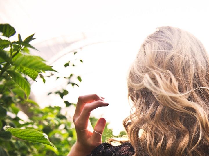 qué es la porosidad en el cabello