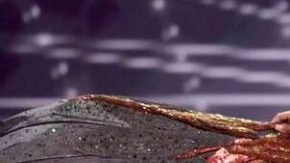 donde ver miss universon 2021 en español