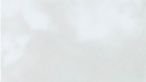 prodcutos para la piel con aloe vera