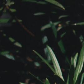 que significan no comedogenico y otros conceptos en productos skincare