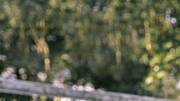 tendencias lentes de sol 2021