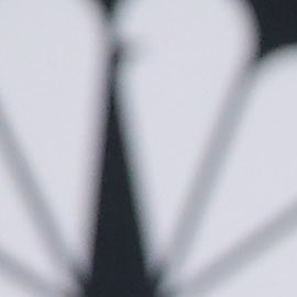 Looks de Carolina Miranda