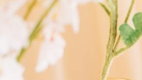 cuando caducan las sombras de ojos