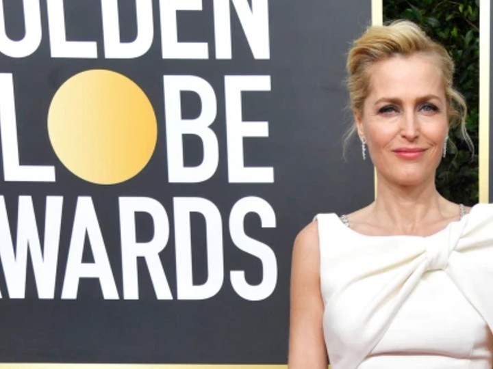 gillian anderson sujetador
