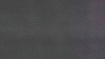 cejas decoloradas lizzo