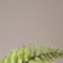 cual es la mejor base para cubir manchas en la piel