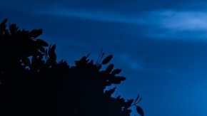 rituales de belleza luna azul
