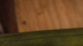 beneficios del aceite de arbol de te en la piel