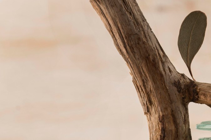 beneficios del aceite de jojoba en la piel