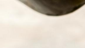 como usar aceite de oliva en el pelo