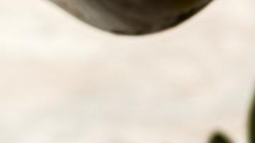 como usar aceite de oliva en el pelo