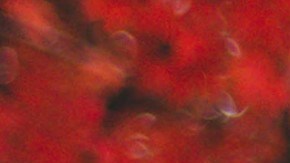 rutina de skincare para el otoño