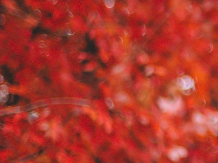 rutina de skincare para el otoño