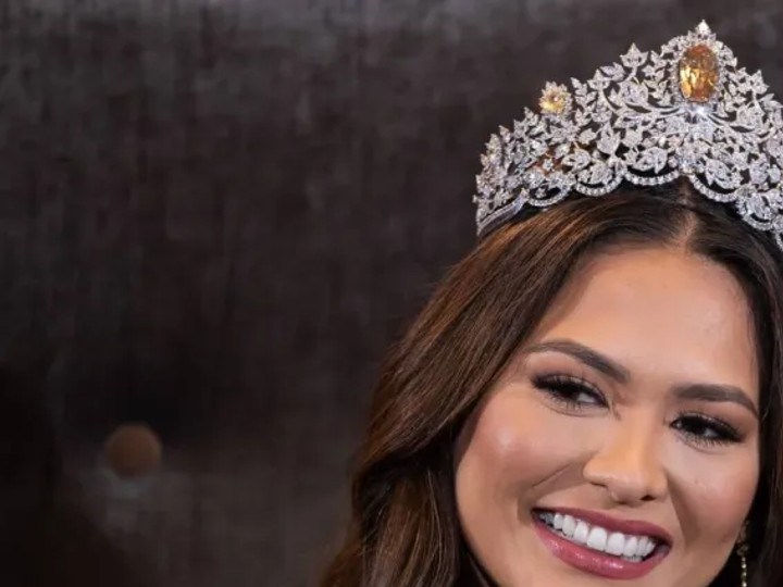 andrea meza vestidos