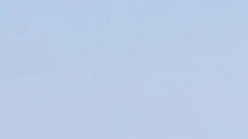 cardi b segundo embarazo