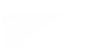 telfar bag security program octubre 2021