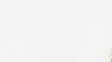 tintes para el pelo tamporales