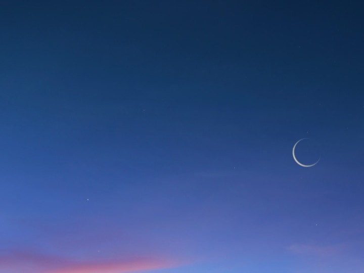 luna nueva enero 2022