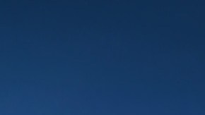 luna nueva enero 2022