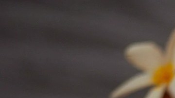 significado color ropa interior año nuevo