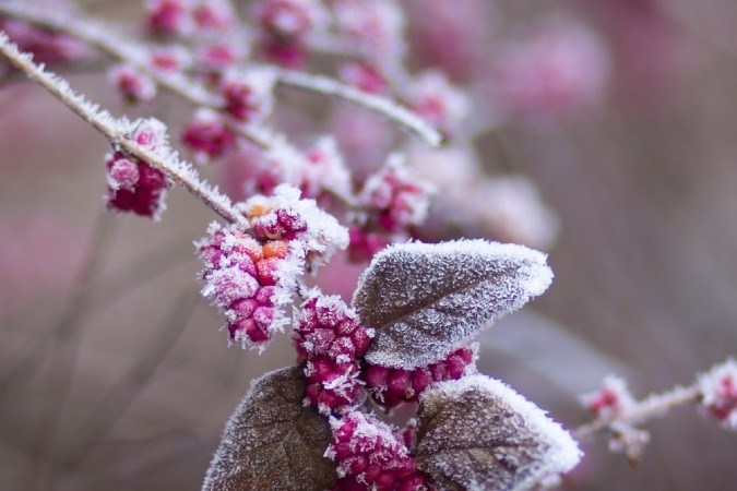 significado solsticio invierno
